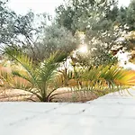 Διαμέρισμα Right On The Cozy