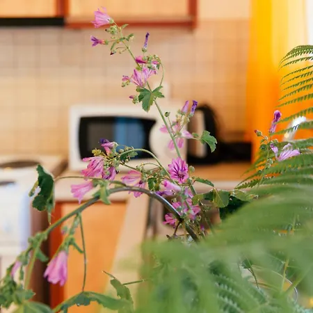 Apartament Right On The Cozy