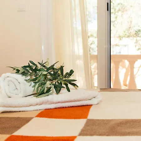 Apartment Right On The Cozy *