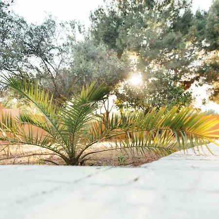 Apartament Right On The Cozy